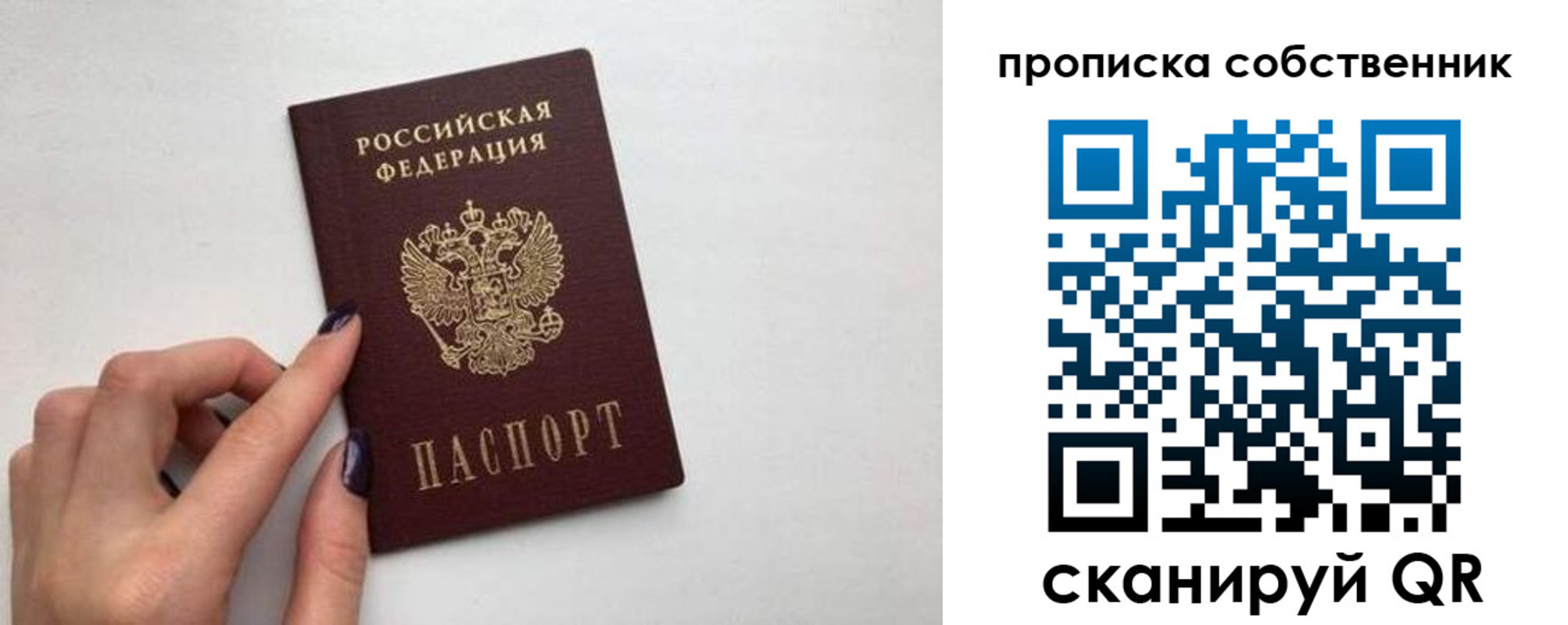 временная регистрация поиск в Электростали